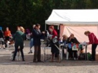 /album/ilpo/iski-124-jpg/